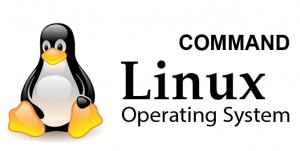 /assets/news/2020_06/mot-so-lenh-co-ban-os-linux.jpg