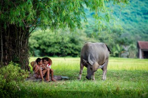 Đã lâu ngày em xa quê hương, nơi gắn với những kỉ niệm thời ấu thơ. Em hãy hồi tưởng lại những kỉ niệm đó