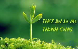 Hãy giải thích câu nói: Thất bại là mẹ thành công