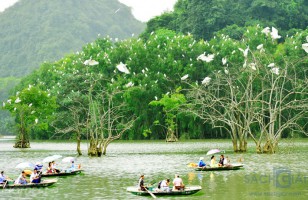 Phân tích nhân vật ông Tư vườn chim trong đoạn văn Ông lão vườn chim của nhà văn Anh Đức