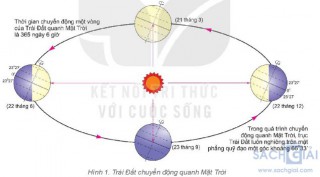 Giải bài tập Địa lí 6 sách Kết nối tri thức, bài 8: Chuyển động của trái đất quanh mặt trời và hệ quả