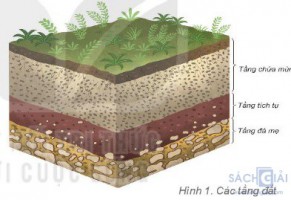 Giải bài tập Địa lí 6 sách Kết nối tri thức, bài 22: Lớp đất trên Trái Đất