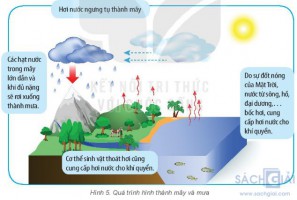 Giải bài tập Địa lí 6 sách Kết nối tri thức, bài 16: Nhiệt độ không khí. Mây và mưa