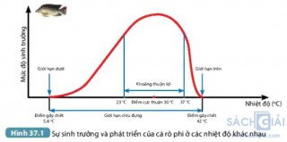 Giải SGK Khoa học 7 sách Kết nối tri thức, bài 37: Ứng dụng sinh trưởng và phát triển ở sinh vật vào thực tiễn