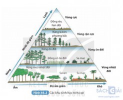 Giải Khoa học tự nhiên 8 sách Kết nối tri thức, bài 45: Sinh quyển