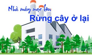 Trả lời Luyện tập, Bài 2. Các chủ thể của nền kinh tế, Giáo dục Kinh tế và Pháp luật 10