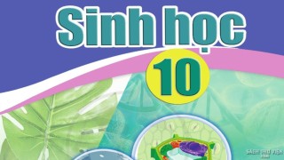 /assets/news/2024_09/sinh-hoc-10-canh-dieu.jpg