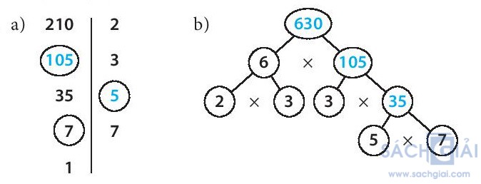 giai bai tap sgk toan 6 bai 10 cau 5b sach kntt