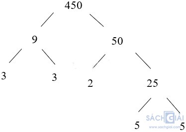 toan 6 bai 11 cau 2b