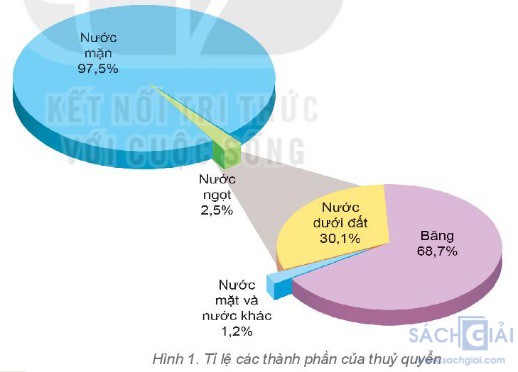 ti le cac thanh phan cua thuy quyen