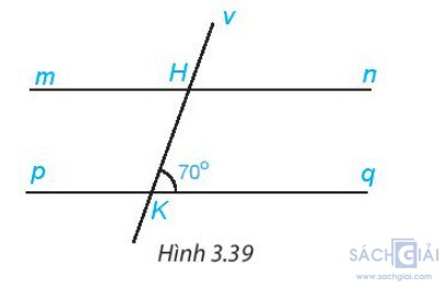 hinh 3 39