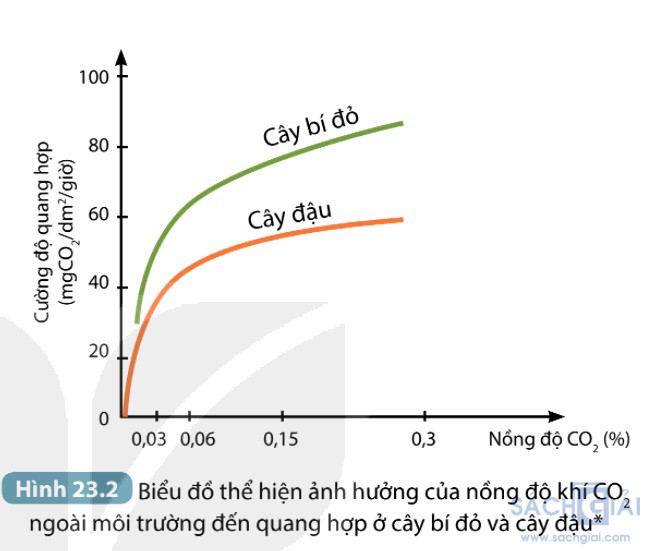 hinh 23 2