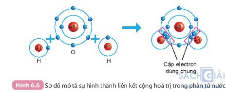 hinh 6 6