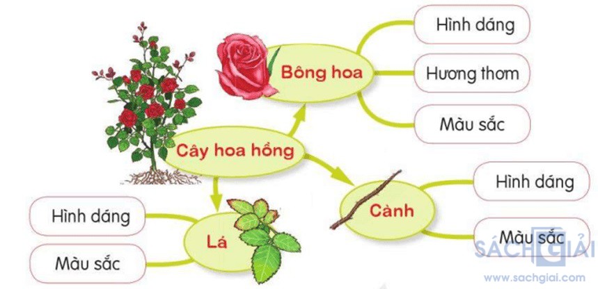 giai tieng viet sach canh dieu bai 4