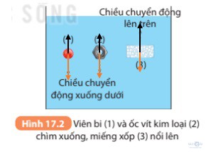 giai khtn 8 sach ket noi bai 17