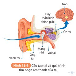 giai khtn 8 sach ket noi bai 37 6