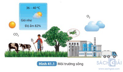 giai khtn 8 sach ket noi bai 41