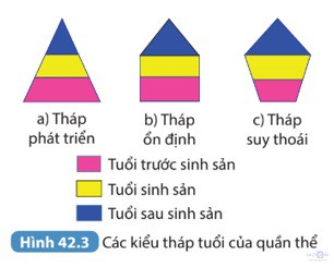 giai khtn 8 sach ket noi bai 42 4