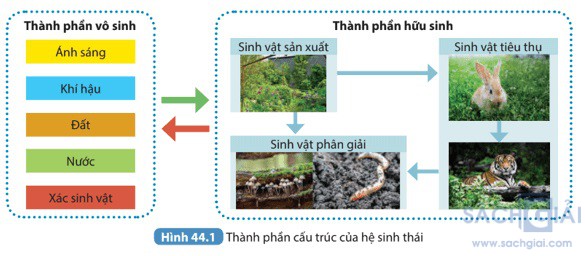 giai khtn 8 sach ket noi bai 44 1