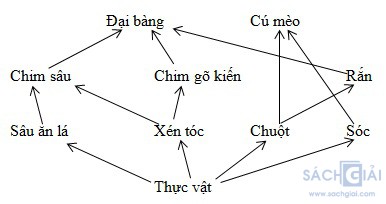 giai khtn 8 sach ket noi bai 44 4