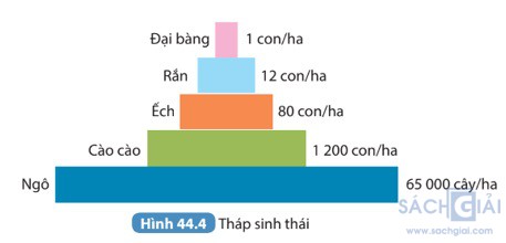 giai khtn 8 sach ket noi bai 44 5