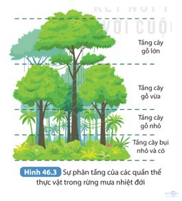 giai khtn 8 sach ket noi bai 46 3