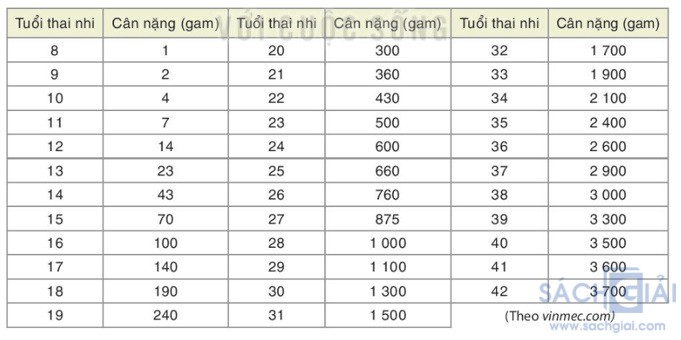 giai toan 8 sach kntt bai 19 cau HĐ 4