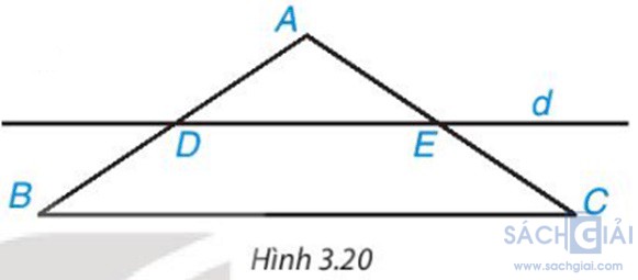 hinh 3 20