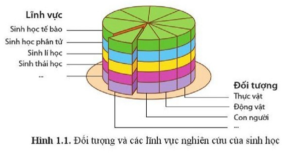 Câu hỏi Sinh học 10 Cánh diều, Chủ đề 1: Giới thiệu khái quát chương trình môn Sinh học